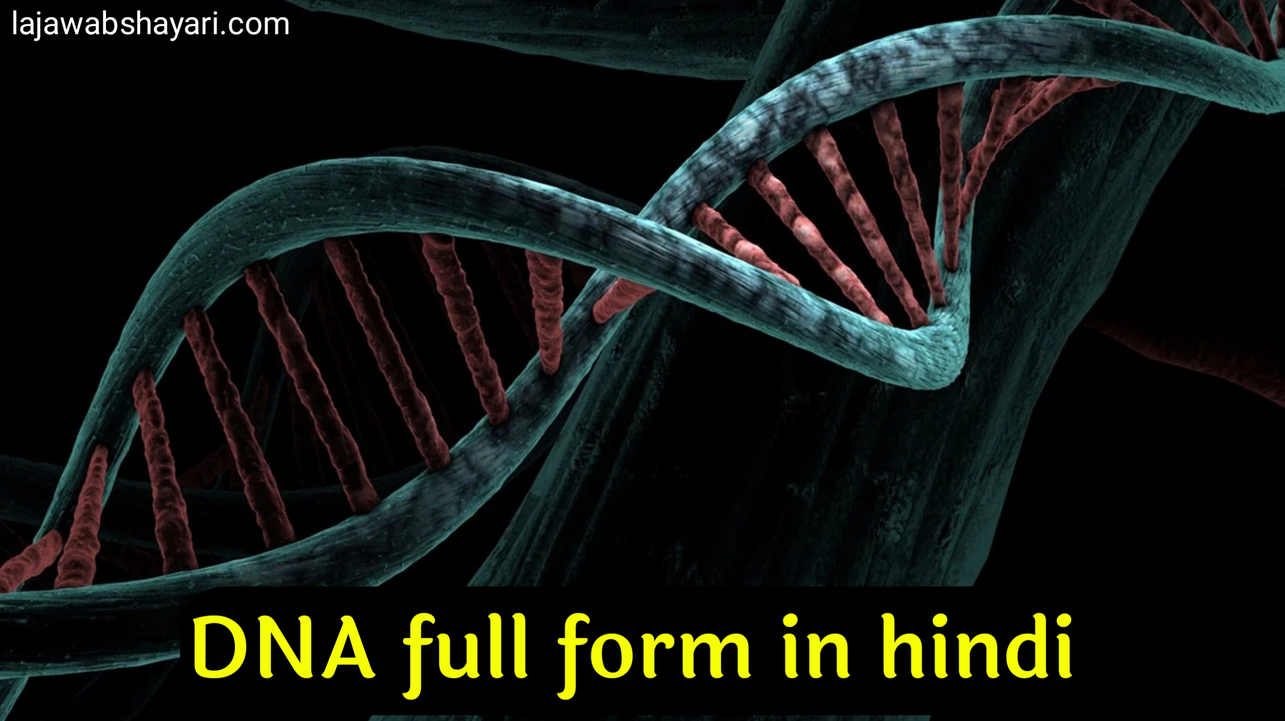 DNA full form in hindi | डीएनए फुल फॉर्म इन हिंदी,dna full form in medical,dna full form, डीएनए का पूरा नाम क्या है ,डीएनए के कार्य क्या होते हैं